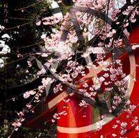 Onmyou-Za : Ouka no Kotowari